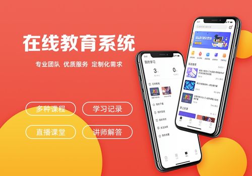 教育軟件開發(fā)方式選擇與銷售策略指南